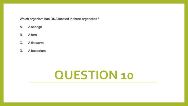 slideshare