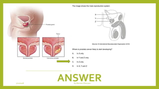 ANSWER1/21/2018 By Mariam Ohanyan
 