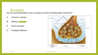 Answer
1/21/2018 By Mariam Ohanyan
 