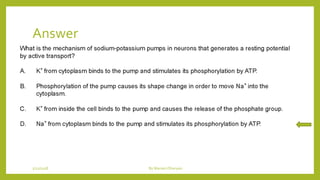 Answer
1/21/2018 By Mariam Ohanyan
 