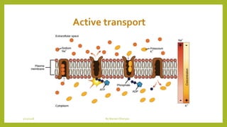 1/21/2018 By Mariam Ohanyan
 