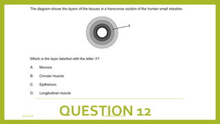 QUESTION 121/21/2018 By Mariam Ohanyan
 