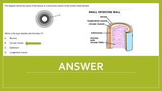 ANSWER
1/21/2018 By Mariam Ohanyan
 