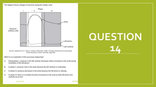 QUESTION
14
1/21/2018 By Mariam Ohanyan
 