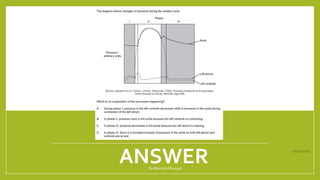 ANSWER1/21/2018 By Mariam Ohanyan
 