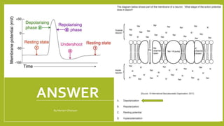 ANSWER
1/21/2018
By Mariam Ohanyan
 