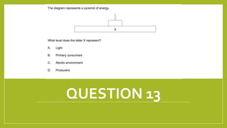 QUESTION 13
1/21/2018 By Mariam Ohanyan
 