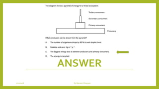 ANSWER
1/21/2018 By Mariam Ohanyan
 