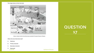 QUESTION
17
1/21/2018 By Mariam Ohanyan
 
