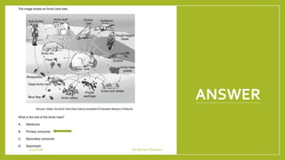 ANSWER
1/21/2018 By Mariam Ohanyan
 