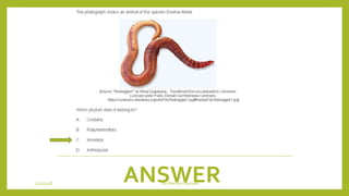 ANSWER1/21/2018 By Mariam Ohanyan
 