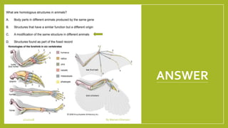 ANSWER
1/21/2018 By Mariam Ohanyan
 