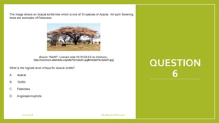 QUESTION
6
1/21/2018 By Mariam Ohanyan
 