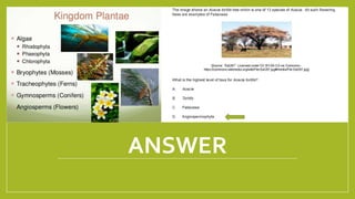 ANSWER
1/21/2018 By Mariam Ohanyan
 