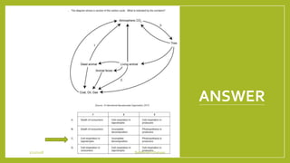 ANSWER
1/21/2018 By Mariam Ohanyan
 