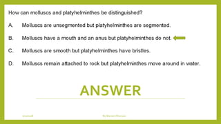 ANSWER
1/21/2018 By Mariam Ohanyan
 