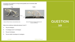 QUESTION
10
1/21/2018 By Mariam Ohanyan
 