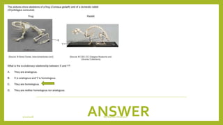 ANSWER1/21/2018 By Mariam Ohanyan
 