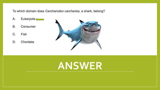 ANSWER
1/21/2018 By Mariam Ohanyan
 