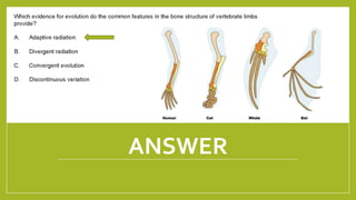 ANSWER
1/21/2018 By Mariam Ohanyan
 