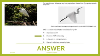 ANSWER1/21/2018 By Mariam Ohanyan
 