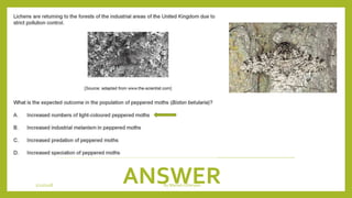 ANSWER1/21/2018 By Mariam Ohanyan
 