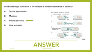 ANSWER1/21/2018 By Mariam Ohanyan
 