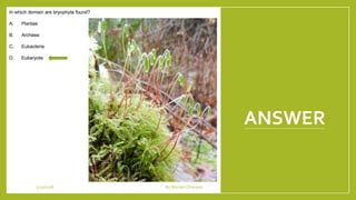 ANSWER
1/21/2018 By Mariam Ohanyan
 