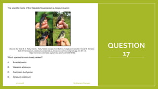 QUESTION
17
1/21/2018 By Mariam Ohanyan
 