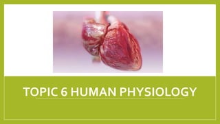 TOPIC 6 HUMAN PHYSIOLOGY
1/21/2018 By Mariam Ohanyan
 