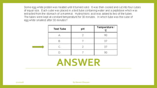 ANSWER
1/21/2018 By Mariam Ohanyan
 