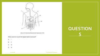QUESTION
5
1/21/2018 By Mariam Ohanyan
 