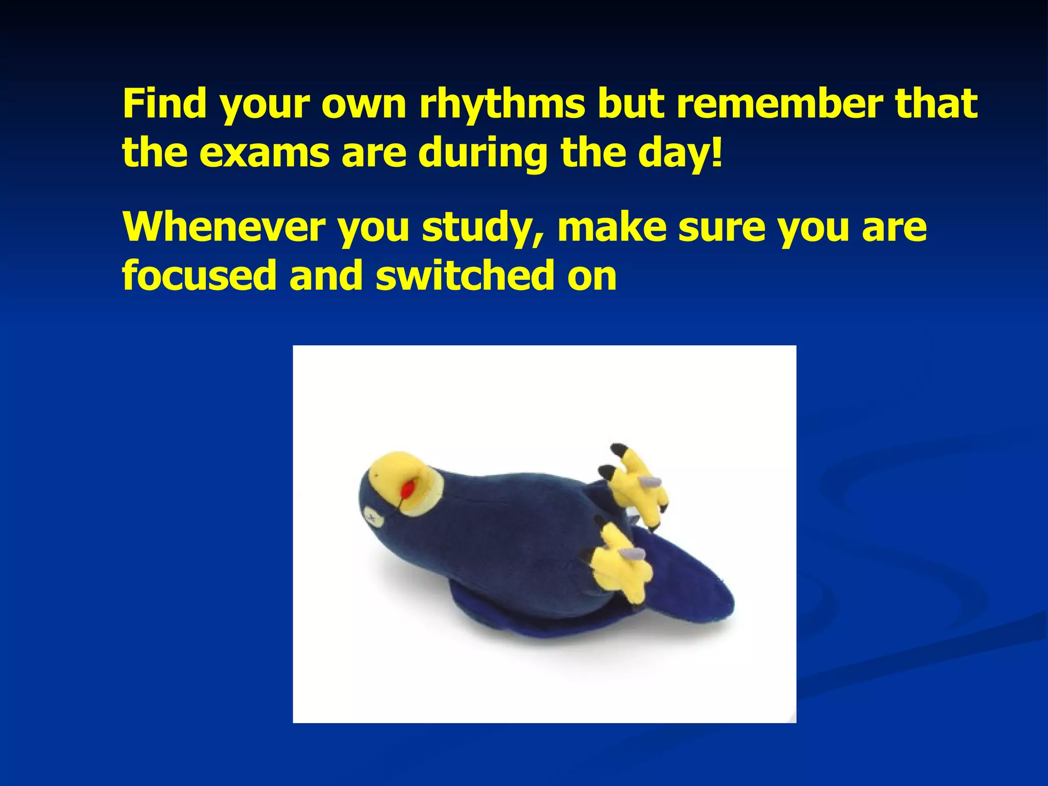 Find your own rhythms but remember that the exams are during the day! Whenever you study, make sure you are focused and switched on 