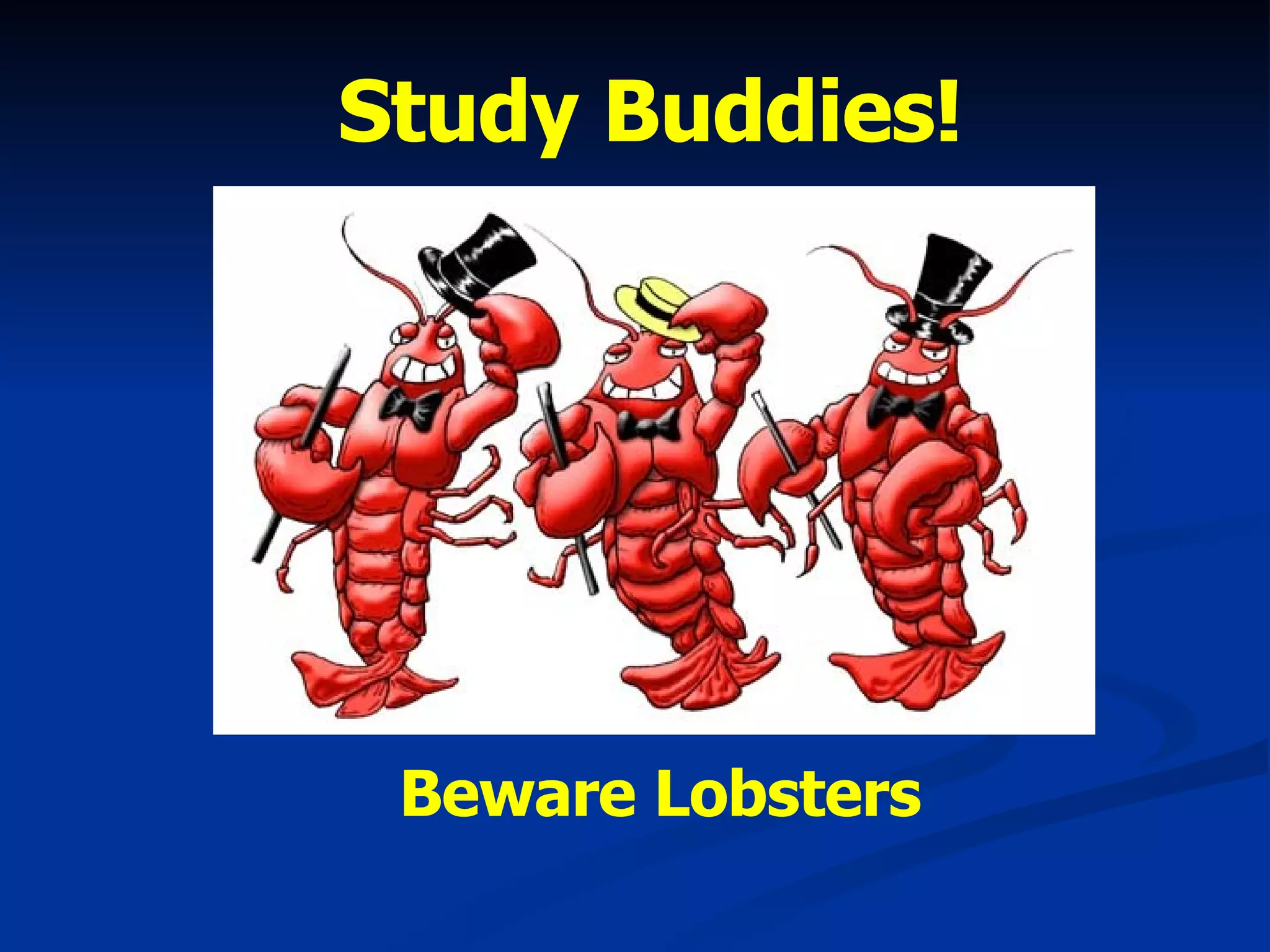Study Buddies! Beware Lobsters 