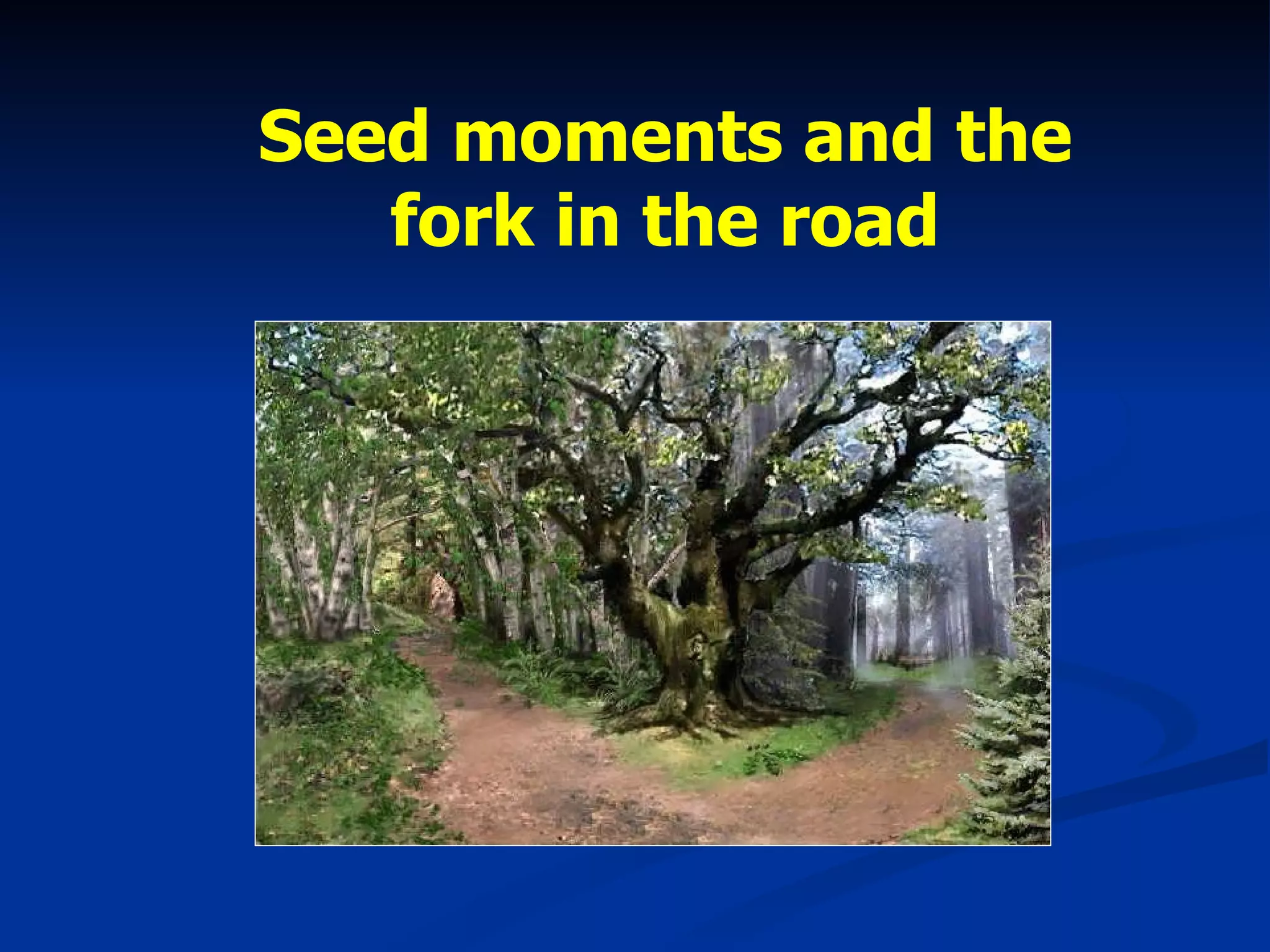 Seed moments and the fork in the road 