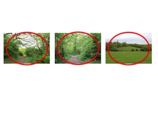 My Exam Unit - Photographs 3