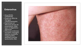 Enterovirus
o Virus ECHO,
COXSACKIE.
o Puede ser diﬁcil de
distinguir
rubeóla/sarampión.
o Exantemas con
diferentes formas de
presentación. Debe
estar en diagnóstico
diferencial.
o Diferentes síndromes
asociados: meningitis
aséptica, encefalitis,
miopericarditis,
debilidad muscular
(poliomielitis like).
 