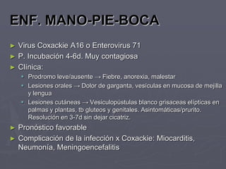 ENF. MANO-PIE-BOCA
►   Virus Coxackie A16 o Enterovirus 71
►   P. Incubación 4-6d. Muy contagiosa
►   Clínica:
     Prodromo leve/ausente → Fiebre, anorexia, malestar
     Lesiones orales → Dolor de garganta, vesículas en mucosa de mejilla
      y lengua
     Lesiones cutáneas → Vesiculopústulas blanco grisaceas elípticas en
      palmas y plantas, tb gluteos y genitales. Asintomáticas/prurito.
      Resolución en 3-7d sin dejar cicatriz.
► Pronóstico favorable
► Complicación de la infección x Coxackie: Miocarditis,
  Neumonía, Meningoencefalitis
 
