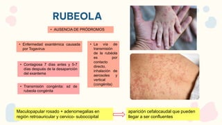 RUBEOLA
• Enfermedad exantémica causada
por Togavirus
Maculopapular rosado + adenomegalias en
región retroauricular y cervico- suboccipital
• Contagiosa 7 días antes y 5-7
días después de la desaparición
del exantema
aparición cefalocaudal que pueden
llegar a ser confluentes
• Transmisión congénita: sd de
rubeola congénita
• AUSENCIA DE PRÓDROMOS
• La vía de
transmisión
de la rubéola
es por
contacto
directo,
inhalación de
aerosoles y
vertical
(congénita)
 