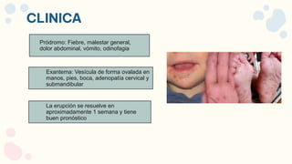 Pródromo: Fiebre, malestar general,
dolor abdominal, vómito, odinofagia
Exantema: Vesícula de forma ovalada en
manos, pies, boca, adenopatía cervical y
submandibular
La erupción se resuelve en
aproximadamente 1 semana y tiene
buen pronóstico
CLINICA
 