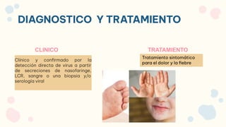 DIAGNOSTICO Y TRATAMIENTO
Clínico y confirmado por la
detección directa de virus a partir
de secreciones de nasofaringe,
LCR, sangre o una biopsia y/o
serología viral
TRATAMIENTO
CLINICO
Tratamiento sintomático
para el dolor y la fiebre
 