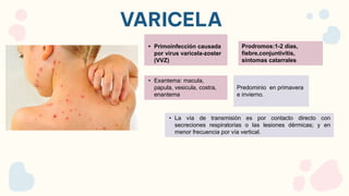 VARICELA
• Primoinfección causada
por virus varicela-zoster
(VVZ)
Prodromos:1-2 dias,
fiebre,conjuntivitis,
sintomas catarrales
Predominio en primavera
e invierno.
• Exantema: macula,
papula, vesicula, costra,
enantema
• La vía de transmisión es por contacto directo con
secreciones respiratorias o las lesiones dérmicas; y en
menor frecuencia por vía vertical.
 