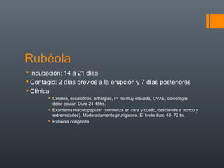 Rubéola
 Incubación: 14 a 21 días
 Contagio: 2 días previos a la erupción y 7 días posteriores
 Clínica:
 Cefalea, escalofríos, artralgias, Fº no muy elevada, CVAS, odinofagia,
dolor ocular. Dura 24-48hs.
 Exantema maculopapular (comienza en cara y cuello, desciende a tronco y
extremidades). Moderadamente pruriginoso. El brote dura 48- 72 hs.
 Rubeola congénita
 