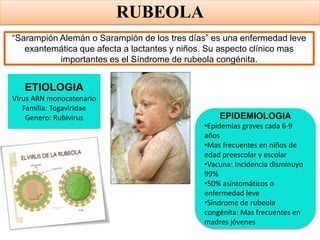 “Sarampión Alemán o Sarampión de los tres días” es una enfermedad leve
exantemática que afecta a lactantes y niños. Su aspecto clínico mas
importantes es el Síndrome de rubeola congénita.
ETIOLOGIA
Virus ARN monocatenario
Familia: Togaviridae
Genero: Rubivirus EPIDEMIOLOGIA
•Epidemias graves cada 6-9
años
•Mas frecuentes en niños de
edad preescolar y escolar
•Vacuna: Incidencia disminuyo
99%
•50% asintomáticos o
enfermedad leve
•Síndrome de rubeola
congénita: Mas frecuentes en
madres jóvenes
RUBEOLA
 