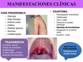FASE PRODROMICA
– Febricula
– Dolor faringeo
– Eritema ocular
– Cefalea
– Malestar general
– Anorexia
– Linfadenopatia
• EXANTEMA:
– Maculopapular eritematoso
– Cefalocaudal
– Cara y cuello
– Disemina en sentido
centrifugo
– Manchas de Forchheimer
– Desaparece en el mismo
orden
– Duracion: 3 dias
MANCHAS DE
FORCHHEIMER
Petequias en el
paladar blando
MANIFESTACIONES CLÍNICAS
TRANSMISION
•Contacto directo
•Gotas de secreción
nasofaringea
•5 dias antes y 6 dias
después del exantema
 