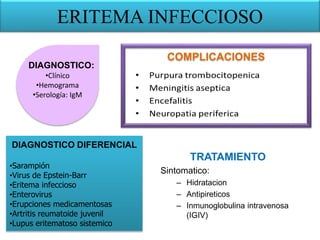ERITEMA INFECCIOSO
TRATAMIENTO
Sintomatico:
– Hidratacion
– Antipireticos
– Inmunoglobulina intravenosa
(IGIV)
•Clínico
•Hemograma
•Serología: IgM
DIAGNOSTICO:
DIAGNOSTICO DIFERENCIAL
•Sarampión
•Virus de Epstein-Barr
•Eritema infeccioso
•Enterovirus
•Erupciones medicamentosas
•Artritis reumatoide juvenil
•Lupus eritematoso sistemico
COMPLICACIONES
 
