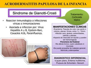 ACRODERMATITIS PAPULOSA DE LA INFANCIA
• Reaccion inmunologica a infecciones
viricas o inmunizaciones
• Asociada a infeccion por: Virus
Hepatitis A y B, Epstein-Barr,
Coxackie A16, Parainfluenza.
Sindrome de Gianotti-Crosti
MANIFESTACIONES CLINICAS
•Exantema: Papulas de color rojo pardo o
cobrizo, planas, firmes, entre 1 y 10mm.
•Afectan cara, gluteos, extremidades,
palmas y plantas.
•Aspecto de vesiculas sin liquido y pueden
ser hemorragicas
•Fenomeno de Koebner
•No afecta tronco, cuero cabelludo ni
mucosas
•Se puede acopañar de malestar general ,
febricula y adenopatias
DIAGNOSTICO DIFERENCIAL
•Liquen plano, Eritema multiforme,
Purpura de Schonlein- Henoch
Tratamiento:
Corticoide
tópico
 