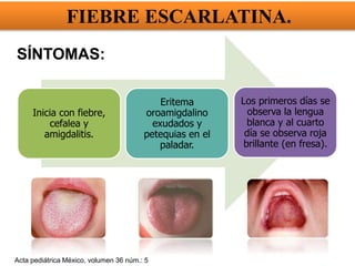 Inicia con fiebre,
cefalea y
amigdalitis.
Eritema
oroamigdalino
exudados y
petequias en el
paladar.
Los primeros días se
observa la lengua
blanca y al cuarto
día se observa roja
brillante (en fresa).
Acta pediátrica México, volumen 36 núm.: 5
SÍNTOMAS:
FIEBRE ESCARLATINA.
 