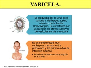 Es producida por el virus de la
varicela y del herpes zoster,
miembro de la familia
Herpesviridae. Se caracteriza por
la aparición de brotes sucesivos
de vesículas en piel y mucosa
Es una enfermedad muy
contagiosa mas aun entre
pródromos y los primeros días de
infección cutánea
• Periodo de incubaciones muy largo de
14 a 21 dias.
VARICELA.
Acta pediátrica México, volumen 36 núm.: 5
 