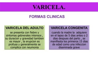 VARICELA.
FORMAS CLINICAS
VARICELA DEL ADULTO
se presenta con fiebre y
sintomas gebnerales intensos ,
su duracion y gravedad tambien
es mayor , la erupcion es
profusa y generalmente se
complica con neumonia
VARICELA CONGENITA
cuando la madre la adquiere
en el lapso de 5 dias antes o 2
dias despues del parto , se
manifiesta los primeros 15 dias
de edad como una infeccion
diseminada grave
 